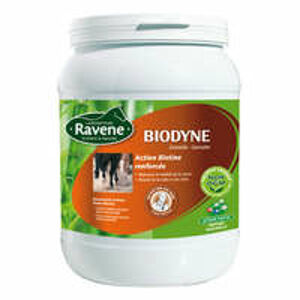 RAVENE Výživový doplnok Biodyne pre kone a poníky 1 kg 1 KG