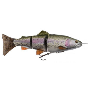 Umelá nástraha na lov dravcov 4d linethru trout 15 cm rainbow