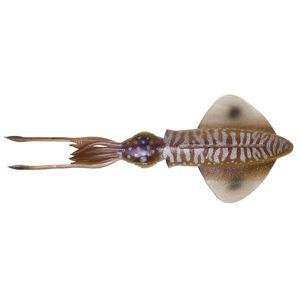 Umelá nástraha na morský rybolov 3d swim squid 125 cm cuttlefish